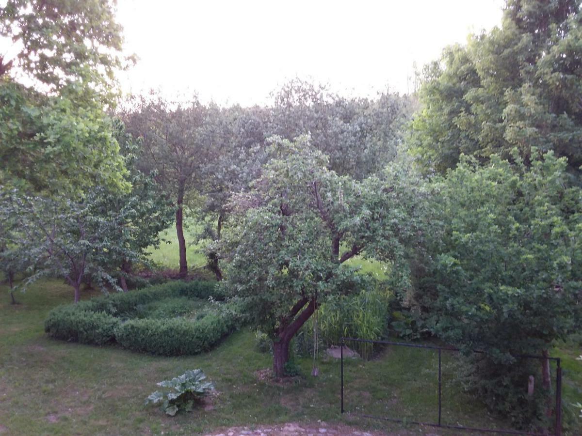 Moorgartenhaus Villa Carlsthal Bagian luar foto